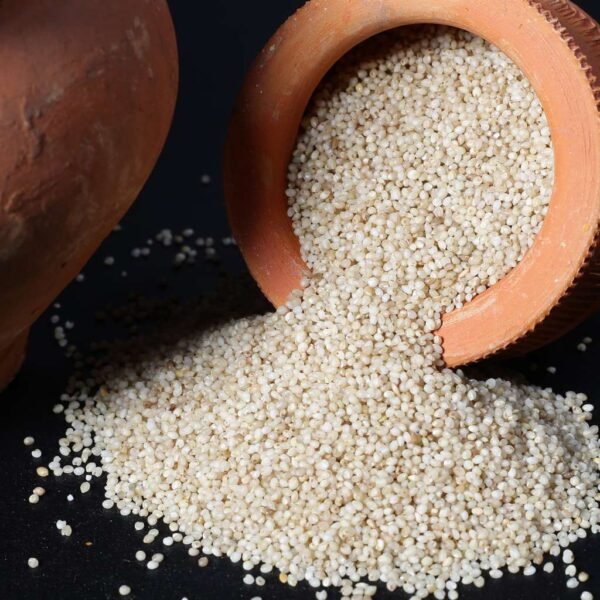 Millets in Hindi: A Complete Guide to the Superfood 2024