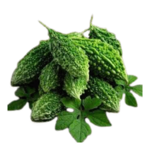 Bitter Gourd