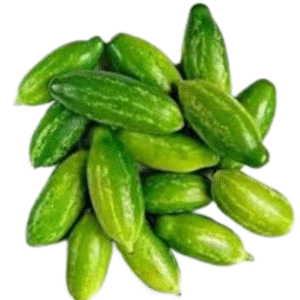 Lvy Gourd