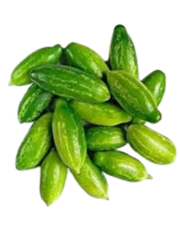 Lvy Gourd