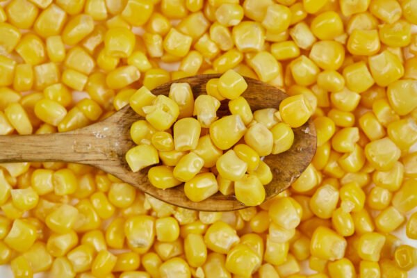 Freeze Dried Sweet Corn